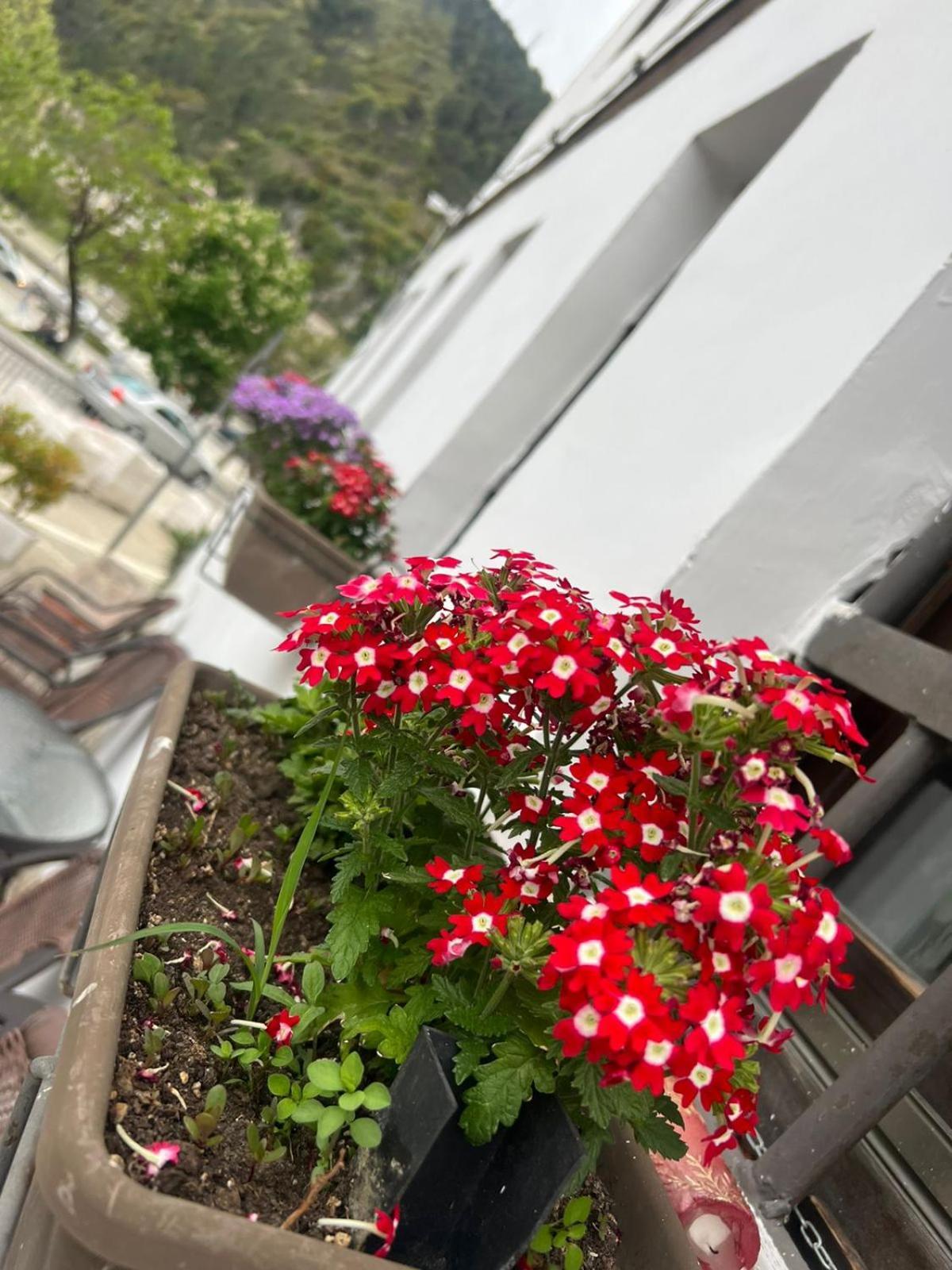 Hotel Omer Berat Oda fotoğraf